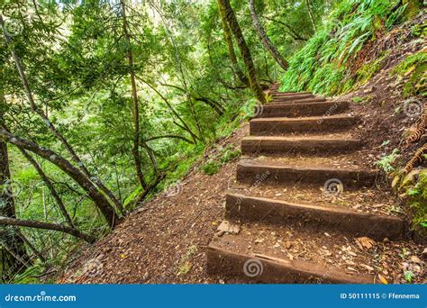 Steep steps in nature