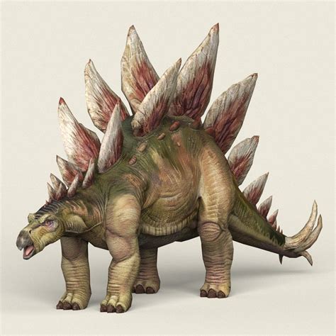 Stegosaurus