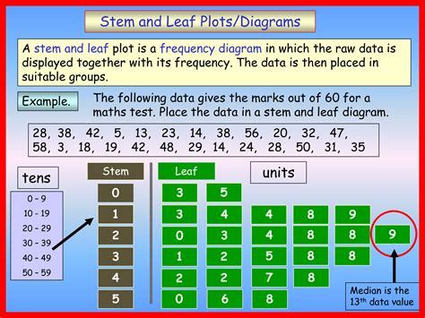 Stem and Leaf Diagram Example with Data