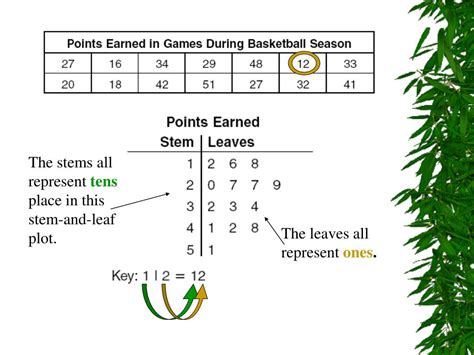 Stem and Leaf Plot Example