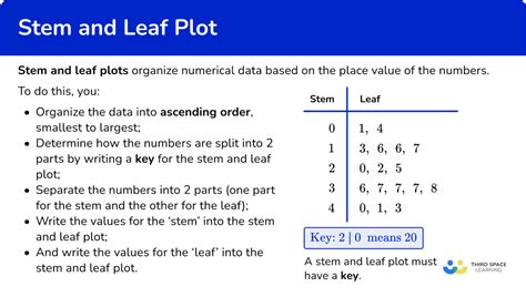 Stem and Leaf Plot Example