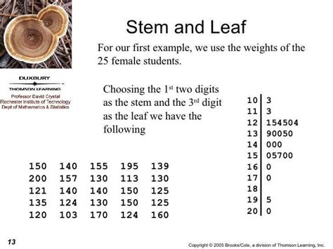 Stem and Leaf Plot Example 3