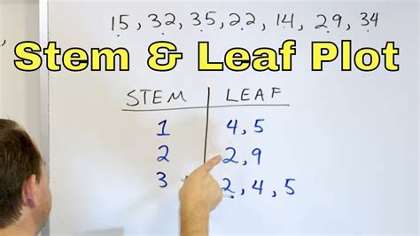 Stem and Leaf Chart Example 5