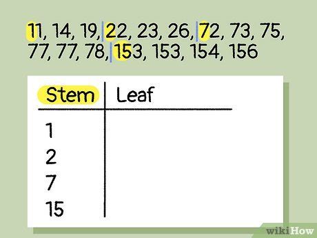 Stem and Leaf Frame