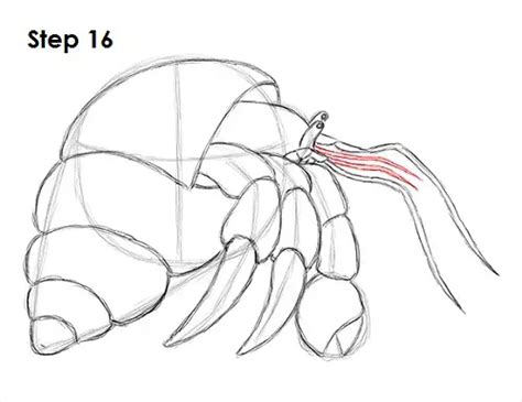 Step-by-Step Guide to Designing Crab Antennae