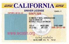 Step-by-Step Guide to Creating a Driver's License Template