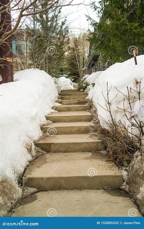 Steps in the snow