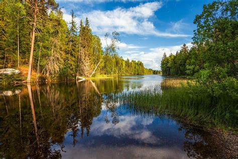 Still water in a glass