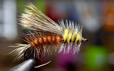 A Stimulator fly tied on a hook