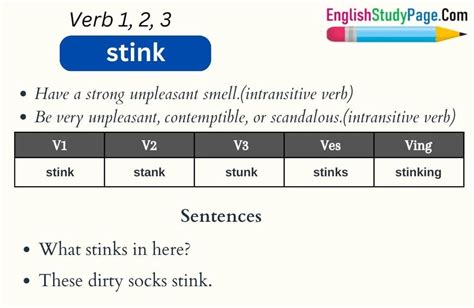 Stink Stank Stunk Verb Tense