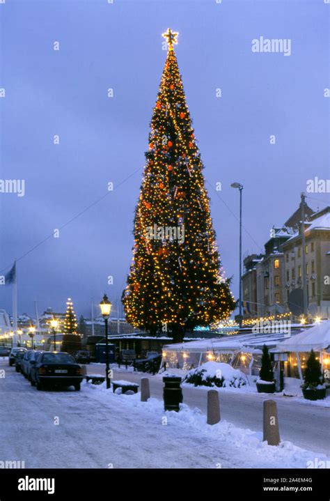 Stockholm Christmas Tree