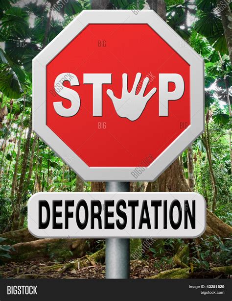 Stop deforestation image