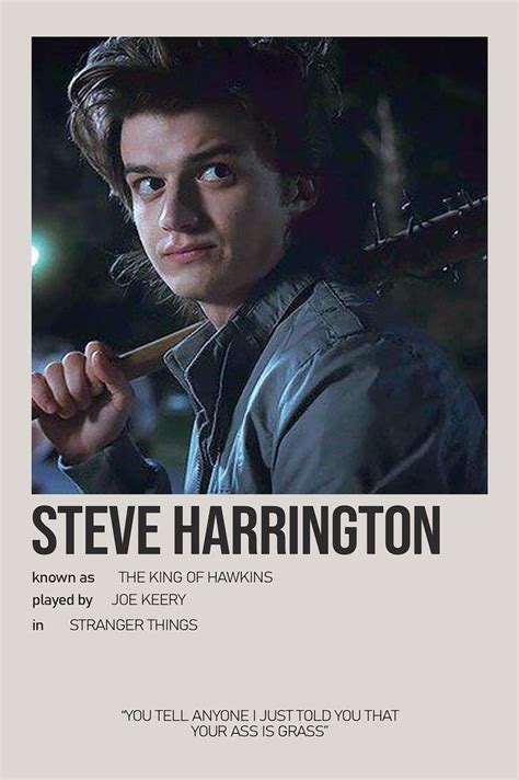 Missing Poster of Steve Harrington