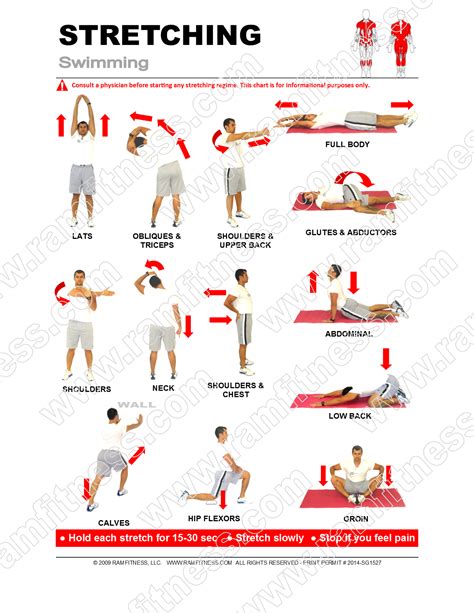 Stretching Exercises for Swimming