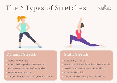 Types of Stretching Exercises