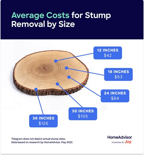 Stump Grinding Costs