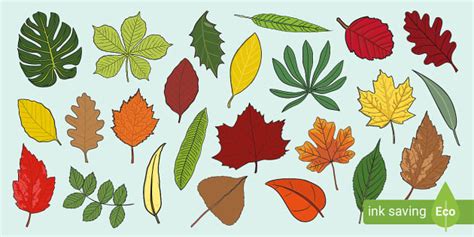 Stylized Leaf Cutouts