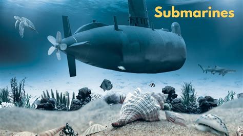 Facts about Submarines Image