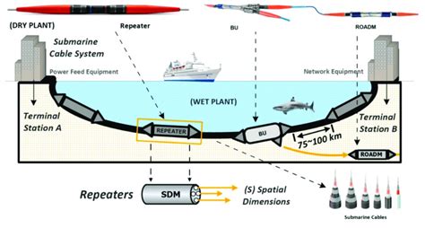 Submarine Network