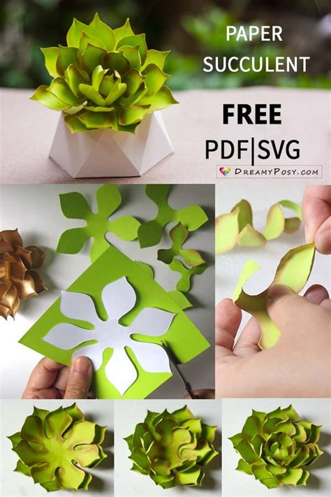 A sample of succulent craft templates