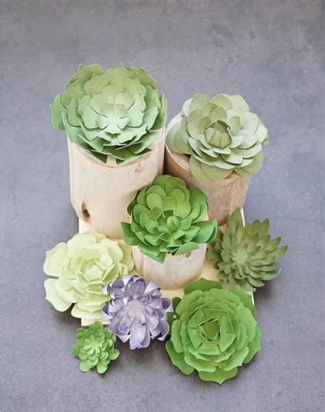 A sample of succulent decor templates