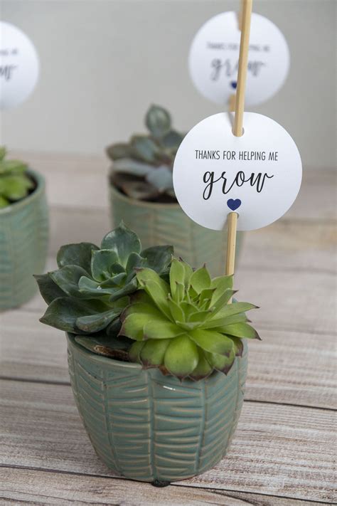 A succulent gift tag with a minimalist design