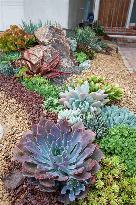 Succulent Landscapes