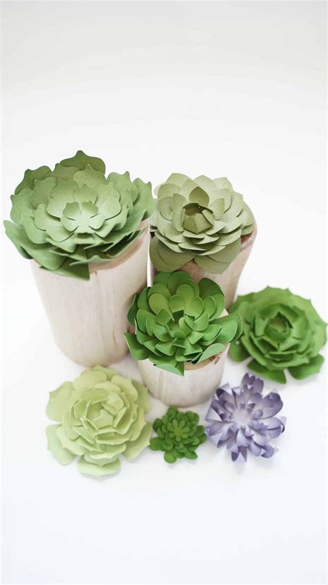 A sample of succulent template ideas