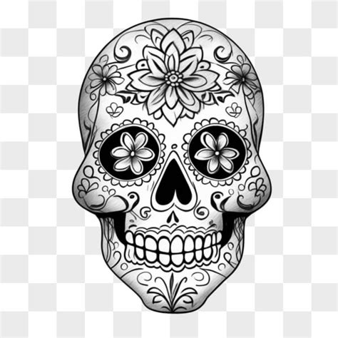 Sugar Skull Education