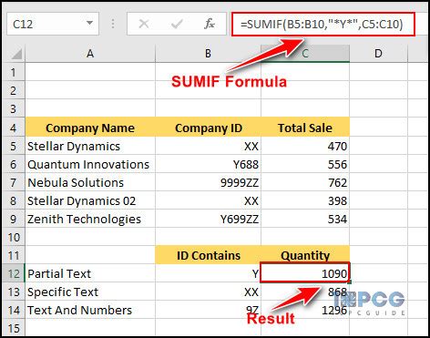 Sum in Excel with Partial Text