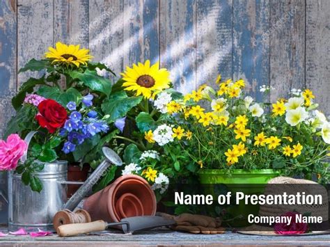 Summer Garden PowerPoint Template