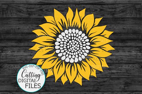 Sunflower Cricut Template Ideas