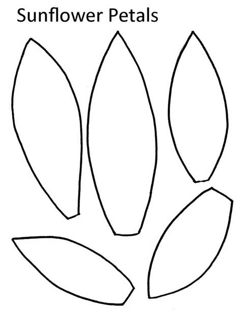 Sunflower Petal Template DIY Craft Cut Out Guide