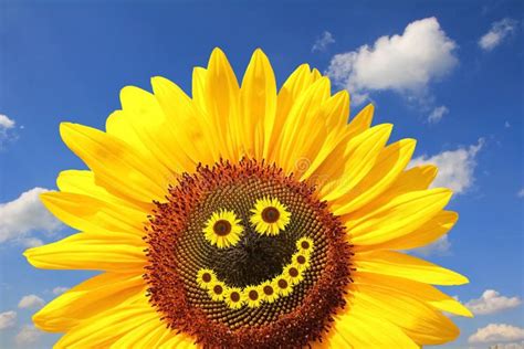 Sunflower Smile Embroidery Pattern