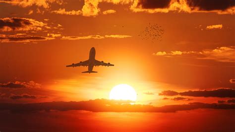 F-14 Tomcat flying at sunset