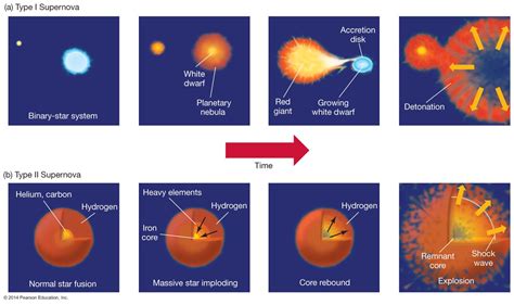 Supernova formation process