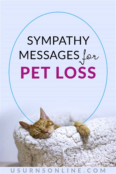 Supporting Pet Loss