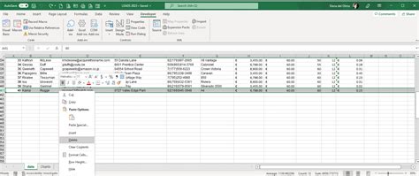 Surgery Spreadsheet Automation