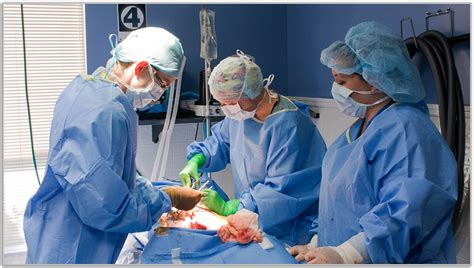 Surgical Assistant Staying Focused and Alert During Long Procedures