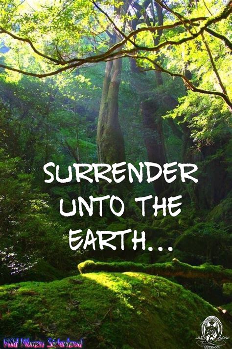 Surrender in Nature