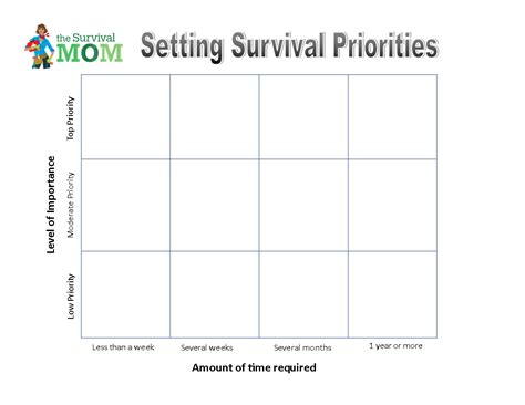 Survival Priority Matrix