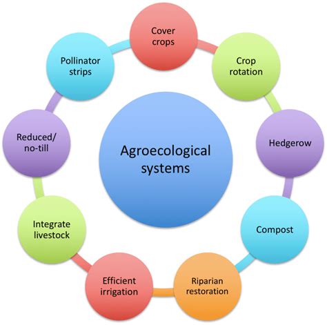 Sustainable agriculture ecosystem services