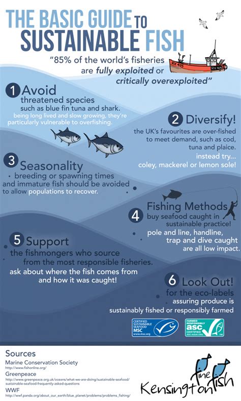 Sustainable Fishing Practices