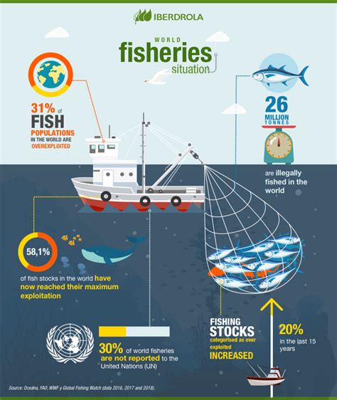 Sustainable Fishing Image