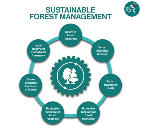 Sustainable forest management image