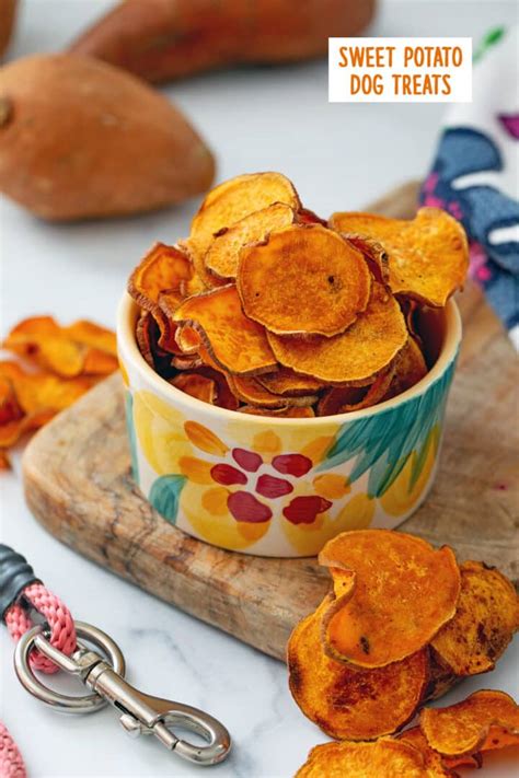 Sweet potatoes for dogs