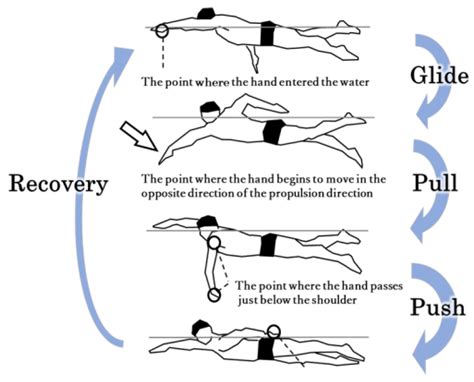 Swim Speed Mechanics in D&D 5e