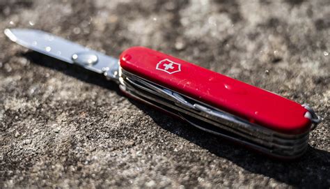 Swiss Army Knife Blades