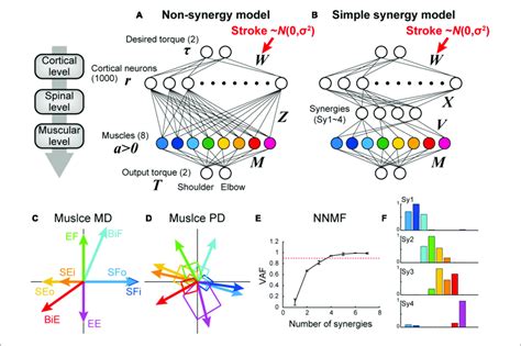 Synergy to Non-Synergy Ratio