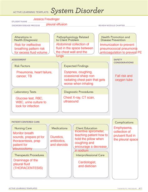 Example of System Disorder Active Learning Template for Business Systems